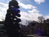 2005020204.jpg