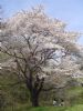 2005041020.jpg