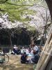 2005041008.jpg