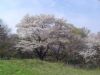 2005041019.jpg