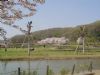 2005041002.jpg