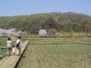 2005041005.jpg